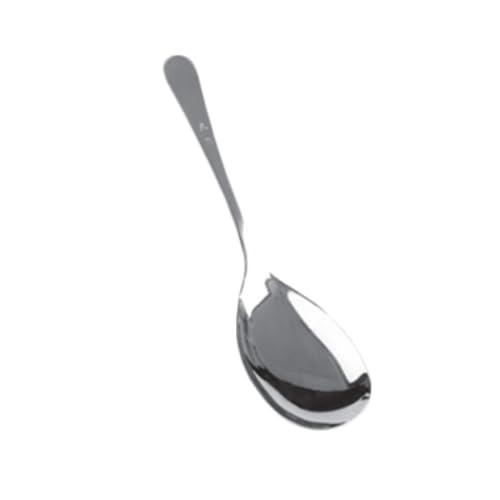 FSE SLTTS001 Serving Spoon, 10