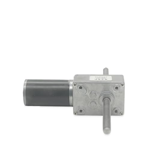 Moteur à engrenage à vis sans fin 12V 12RPM avec double arbre M8 et bride