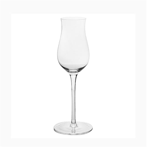 Recopilación de Copas de champán tulipán del mes. 44 1 copa de champán tulipán, capacidad 4,73 oz, perfecta for una fiesta cumpleaños con compañeros clase
