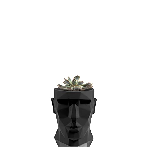 Echeveria Hercules Flower Pot Human Black de 12 cm de diámetro y 19 cm de alto Cover