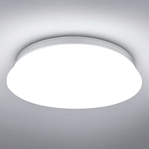 Lepro Ceiling Light, 24W LED, 2500lm, 5000K Daylight White, φ30cm Round, Flush Ceiling Light for Kitchen, Hallway…