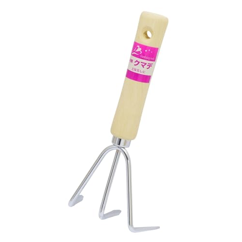 V(Takagi) N[bL N}f ؕ