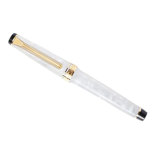 Stylo plume stylos cadeaux en résine de calligraphie à offrir pour la rentrée ou un anniversaire
