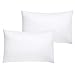 SHEETSPA 1000 fils 100% coton égyptien à longues agrafes 2 pièces fermeture enveloppe housse de coussin femme au foyer blanc premium taille standard 50 cm x 75 cm,taie d'oreiller blanc souple 2 pièces