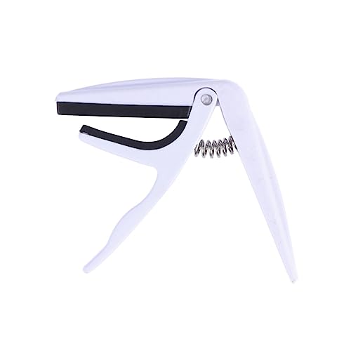 Abaodam ENJ| VRpbht olNv  ȒPnh wی AR[XeBbNENΉ