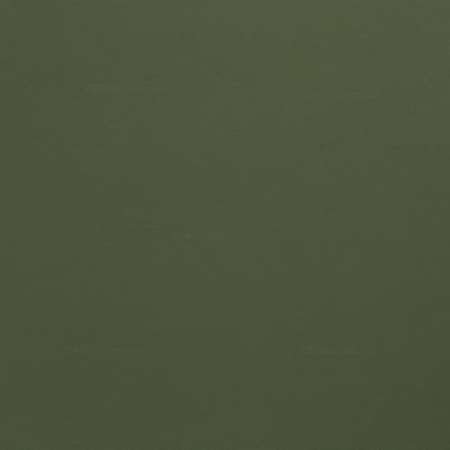 KYDEX Thermoform Sheet - (P1 Texture) - (.080 Thickness) - (12in x 24in) - (Ranger Green) - (1 Sheet) - DIY Holster Making, Airsoft Armor, Cosplay Uniforms, RC Models