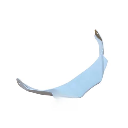 Carénage avant M1000RR blanc brillant pour sublimer vos sorties sur piste