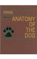 Miller's Anatomy of the Dog - Text and VETERINA... 1416064524 Book Cover