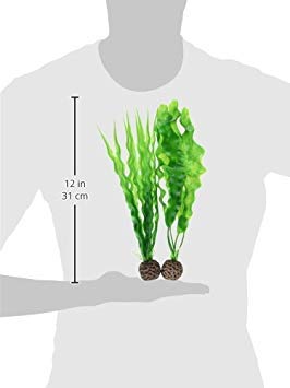 Image of biOrb Medium Green Plant Set, Colorful and Durable Aquarium Decorations