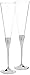 Vera Wang Wedgwood Love Toasting Flute Pair, 2 Count (Pack of 1), Clear