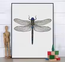 BMGKYAGL Dragonfly Art Print Poster Wall Pictures For Home Decor Dragonfly Canvas Painting Modern Wall Decor (60x90cm / Inner Frame)