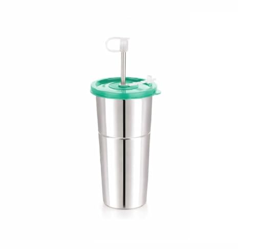 Image of Stainless Steel Fusion Glass Tumbler with Stainless Steel Metal Straws and Cleaning Brush with Lid (LD SIP 600ML)