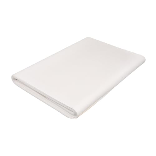 Papier Xuan blanc calligraphie peinture Sumi feuilles résistantes Operitacx