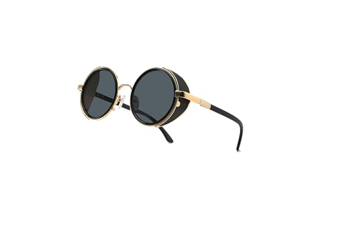 Technigadgets Rowan Steampunk Round Sunglasses Metal Vintage Retro Side Shield Gift For Men Women UV400 Outdoor Fashion Eyewear UV Protection Gold/Black4