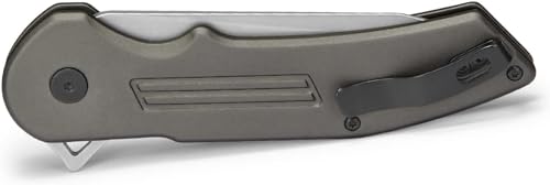Buck Knives BU262GYS 262 Hexam Assist, Spring-Assist Folding Pocket Knife thumb #1