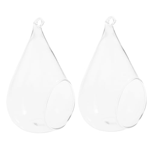 BAZEITFLOW 2 Piezas Jarrones Colgantes de Transparente para Micro Paisajes y Decoración Maceteros Creativos para Oficina y Superficie Lisa Estilo Aleatorio