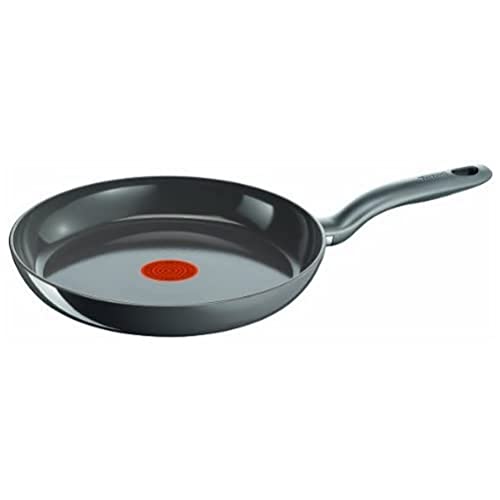 Tefal C93302 sarten, Metal Ligero extraduro, Gris, 20 cm