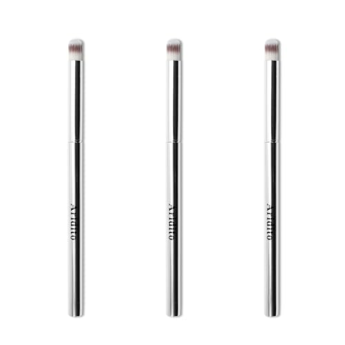 Aridito 3PCS Nail Art Gradient Brushes - Silver Metal Handle Soft Firm Bristles for Chrome/Mica Powder Aura Nails & Eyelid Blending No Shedding Easy to Clean DIY Tool