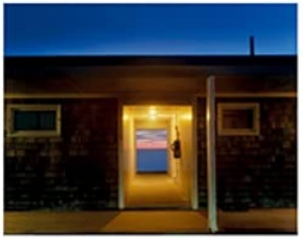 Joel Meyerowitz Between the Dog and the… Joel Meyerowitz「Between the dog and the wolf」写真集 / SUPER LABO