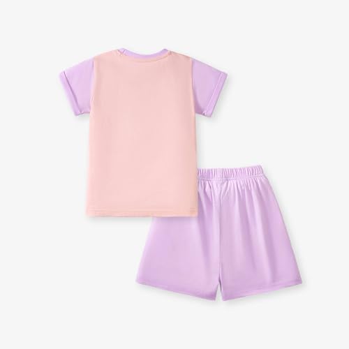Image of HILEELANG Toddler Girl Summer Short Outfit Sets Cotton Short Sleeve Tops Tees Shorts Clothing Sets