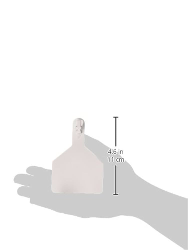 Amazon.com: Z Tags 100 Count 1-Piece Blank Tags for Cows