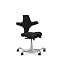Black Seat - Silver Frame