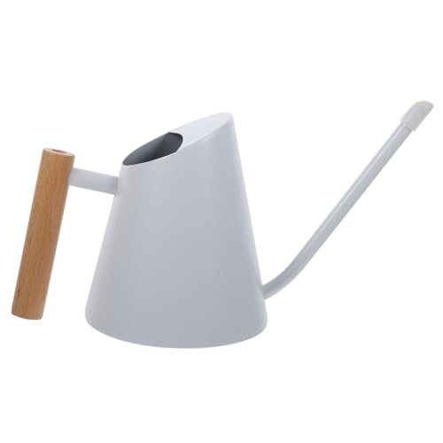 FONDOTIN Regadera De Acero Inoxidable con Mango De 900ML Ideal para Riego De Plantas En Jardín y Hogar Olla De Riego De Largo Caño para Interiores y Exteriores