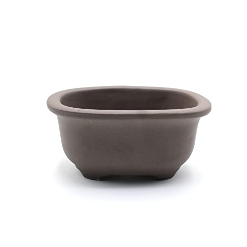 Umekichi Bonsai Japan Bonsai Pot Ceramic Seto-Yaki Oval Shaped with Rim(5.7'',No-Glazed)