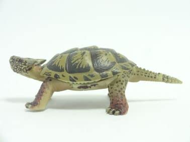 Amazon | UHA味覚糖 チョコラザウルス 恐竜・古代生物フィギュア