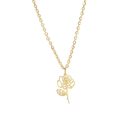 kkjoy Colar com pingente de flor de mês de nascimento em aço inoxidável colar da melhor amiga joalharia para mulheres meninas, Aço inoxidável