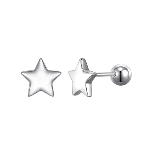 Meteorstarry Stern Silber Ohrstecker Damen 925, Kleine Ohrstecker Silber 925 Stecker, Sommer Helix Piercings Ohrring Geschenke Schmuck Jewellery für Frauen Herren Mädchen