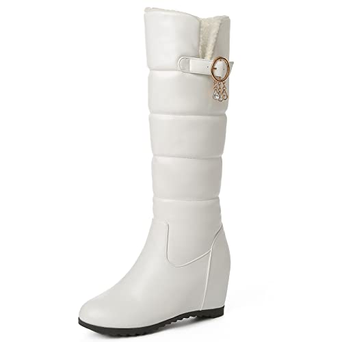 Bottes de neige compensées Lizoleor chaudes avec fourrure pour femme