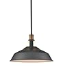 CLAXY Rod Pendant Light Black Barn Farmhouse Pendant Lighting Dimmable Kitchen Hanging Pendant Light Fixture-15.3"