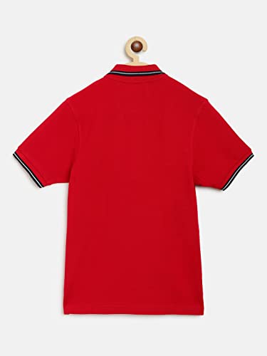 Image of Lil Tomatoes Boys Cotton Cotton Blend Polo T-Shirts
