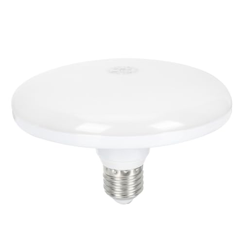 Lampada industriale: aspetto semplice, fornisce calore e alle tue lampadine da miniera