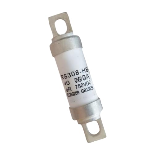 Fusible RS308-HB-100A cartouche de protection pour installations électriques