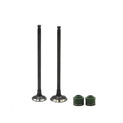 Kit tige de soupape d'admission FZR250R de haute précision thermique