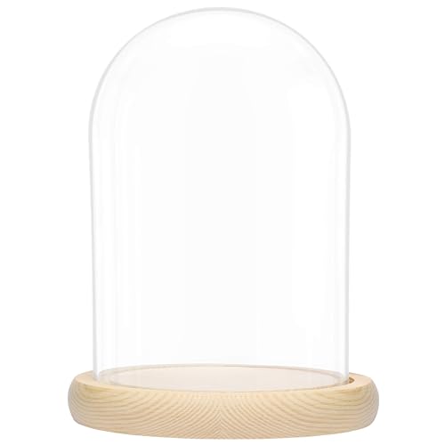 BELLE VOUS Campana de cristal con base de madera natural – 20 cm – Campana de cristal decorativa transparente con bandeja de madera para luces, decoraciones de mesa, antigüedades