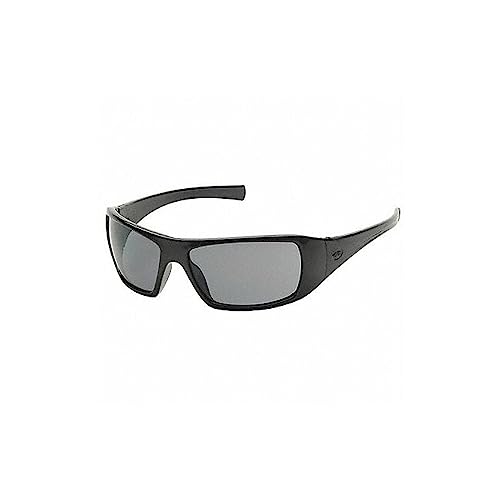 Pyramex Safety Glasses,Gray SB5620D - 1 Each