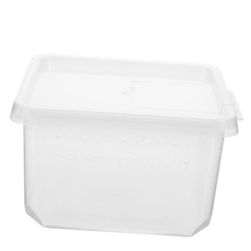 BESPORTBLE ঒ގ甠 yʃRpNg h򉻃NAގ ^a w偂gJQK ʋCǂ঒މa{bNX