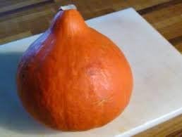 Semillas de calabaza Kuri Hokkaido rojas de Stonysoil Seed Company.25 Semillas orgánicas certificadas