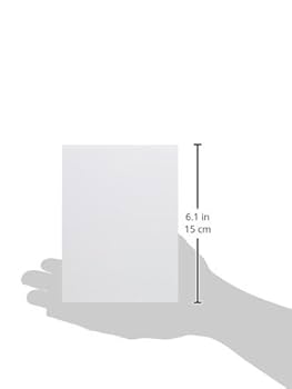 シノアリス 色紙風ポートレイトAB クリアファイル ムビチケ（コード使用済） レコード蔵出し。 ライブ録音のさだまさしとアリスが良い