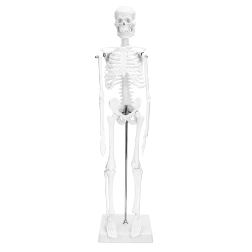 QWORK® Mini modelo de esqueleto, 45 cm, esqueleto humano modelo anatómico, flexível, para ferramenta de visualização de ensino médico