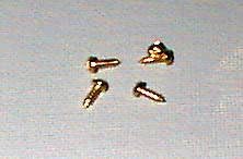 200 1/4 Inch Brass Plate No. 2 Phillips Round Head Screw