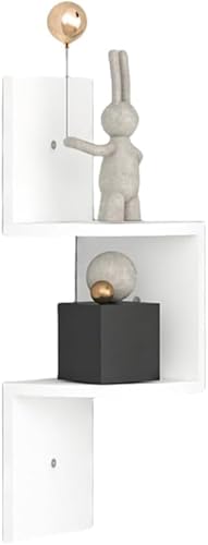 WNRJ Ǌ|[ gCAOEH[VFt R[i[VFt @\[I ~ϔ ؖڒ I CeA[ (?w,zCg)