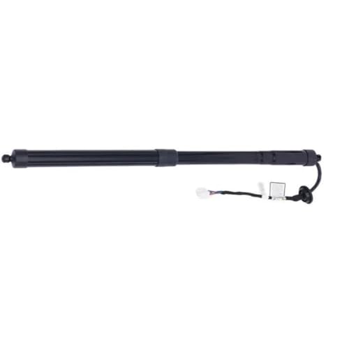 Support de levage de trappe pour simplifier vos trajets en Rogue
