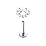 Hoisy Pendiente Nariz Mujer Titanio 18G 1.0x8mm, Huella Pata con Circonia Cúbica, Piercing de Nariz Plata