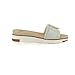 Sam Edelman Women's Ariane Slide Sandal, Silver Rib, 8.5