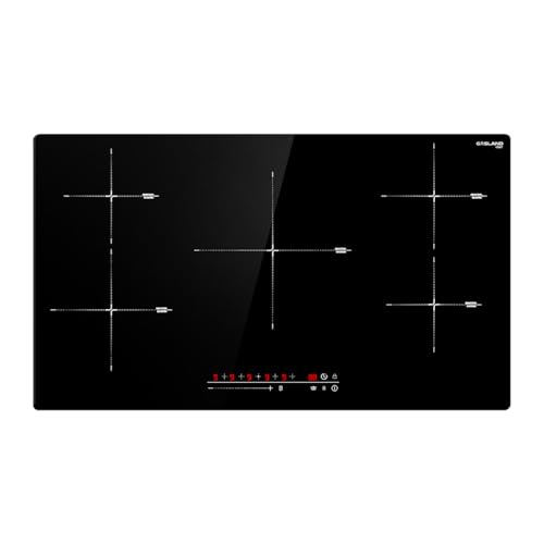 GASLAND Chef 12 Inch Induction Cooktop, Built-in Electric Stovetop IH30BF with 2 Burners, 9 Power Levels, Slide Touch Control, Child Safety Lock, 1-99 Minutes Timer,240V
