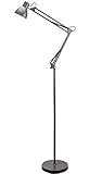 ToJane Metal Floor Lamp,Adjustable Swing Arm with Heavy Metal Based,Living Room/Sofa Side/Reading,Dual-use Clamp Desk Light,On/Off Switch,LED Bulb Include